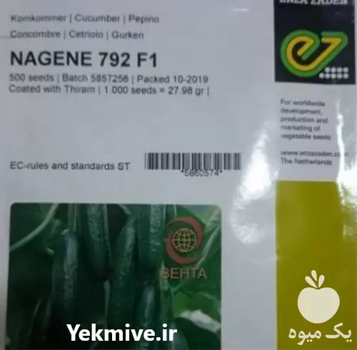 قیمت خرید بذر خیار گلخانه ای در اهواز در گروه خرید و فروش بذر خیار در یکمیوه -عکس1