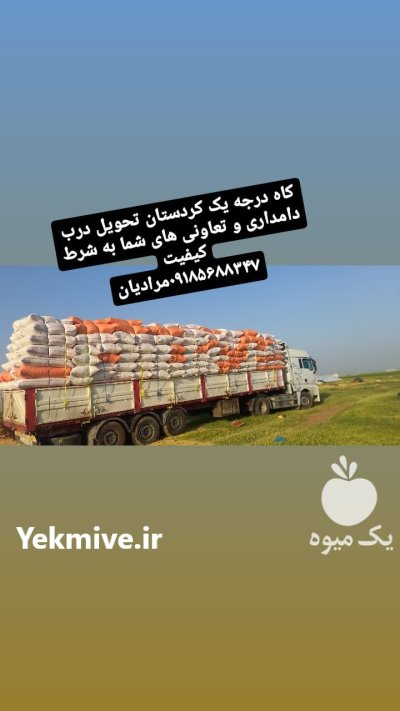 کاه دیم کردستان در گروه خوراک دام و طیور در یکمیوه -عکس1