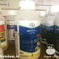 سم پروتئوس فروش سم پروتئوس در ارومیه در گروه خرید و فروش انواع سم در یکمیوه