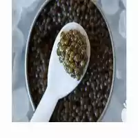 خرید انواع خاویار برداشت شده در گروه خرید و فروش انواع ماهی در یکمیوه