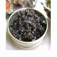 قیمت خرید ارائه دهنده مناسب ترین در رشت در گروه خرید و فروش انواع ماهی در یکمیوه