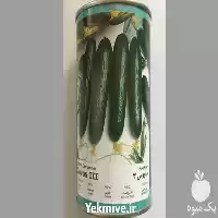 قیمت خرید توزیع بذر خیار زودرس در گرگان در گروه خرید و فروش بذر خیار در یکمیوه