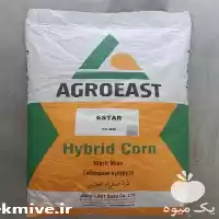 قیمت خرید بذر ذرت ای استار در شیراز در گروه خرید و فروش بذر ذرت در یکمیوه