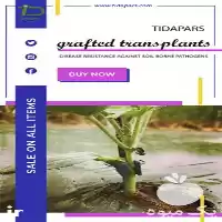 قیمت خرید پیوندزن نشا برای پیوند در رشت در گروه خرید و فروش دستگاه نشا در یکمیوه