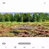 فروش چاپر یدک کلاس در گروه خرید و فروش چاپر در یکمیوه