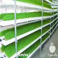 فروش دستگاه جوانه ساز در قم در گروه خرید و فروش دستگاه کشاورزی در یکمیوه