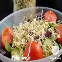 فروش دستگاه تولید جوانه گندم رویشگر در اهواز در گروه خرید و فروش دستگاه کشاورزی در یکمیوه