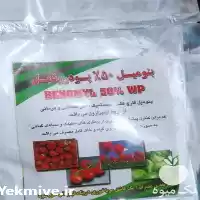 قیمت خرید عرضه سم قارچ کش در کرج در گروه خرید و فروش انواع سم در یکمیوه