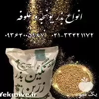 فروش بذر یونجه پایه بلند در اصفهان در گروه خرید و فروش بذر یونجه در یکمیوه