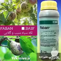 فروش قارچکش فابان باسف در ارومیه در گروه خرید و فروش انواع سم در یکمیوه