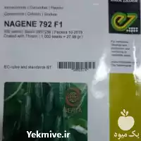 قیمت خرید بذر خیار گلخانه ای در اهواز در گروه خرید و فروش بذر خیار در یکمیوه
