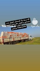 کاه دیم کردستان در گروه خوراک دام و طیور در یکمیوه