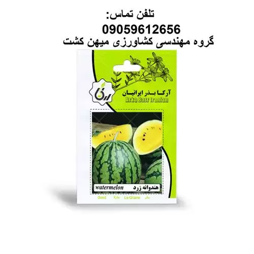 بذر هندوانه زرد آرکا در رشت در گروه خرید و فروش بذر هندوانه در یکمیوه -عکس1