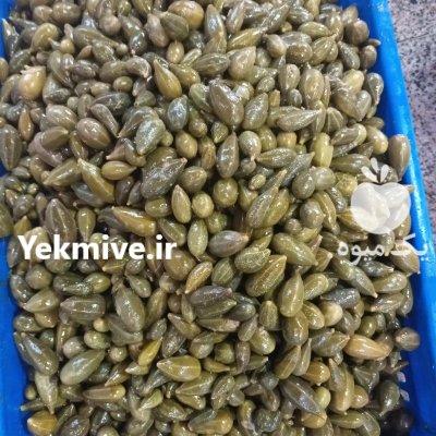 ترشی بیبی کورن ریز در ری  در گروه محصولات ترشی در یکمیوه -عکس1