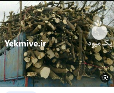 خرید چوب مرکبات در خوزستان در گروه خرید و فروش انواع چوب در یکمیوه -عکس1