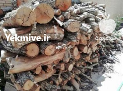خرید چوب مرکبات در خوزستان در گروه خرید و فروش انواع چوب در یکمیوه -عکس2