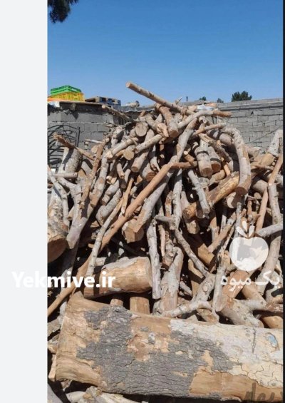 خرید چوب مرکبات در خوزستان در گروه خرید و فروش انواع چوب در یکمیوه -عکس4