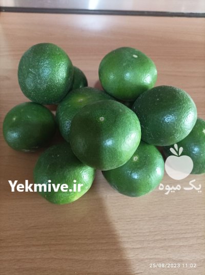 فروش ویژه نارنگی ژاپنی در خلیل شهر در گروه خرید و فروش نارنگی در یکمیوه -عکس1