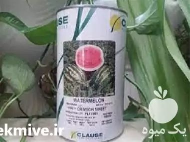 فروش خرید بذر هندوانه کلوز در اهواز در گروه خرید و فروش بذر هندوانه در یکمیوه -عکس1