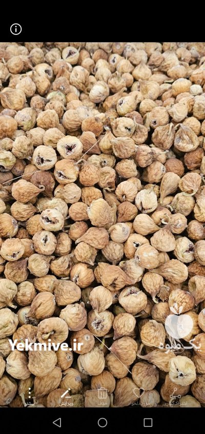 فروش انواع انجیر خشک ارگانیک بصورت عمده در شیراز در گروه خرید و فروش انجیر در یکمیوه -عکس1