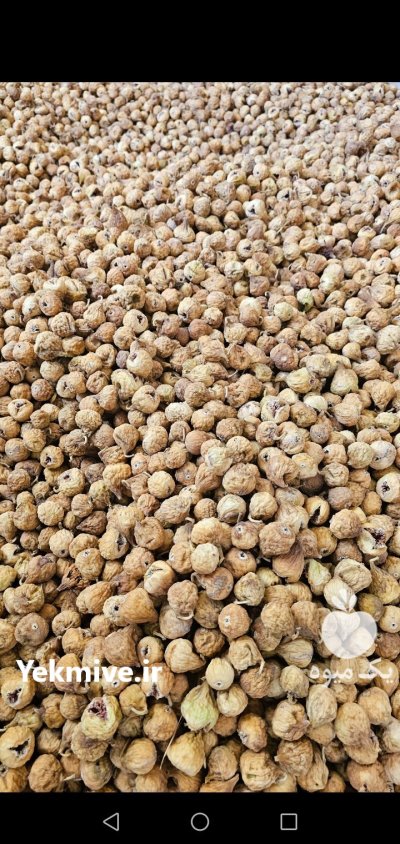 فروش انواع انجیر خشک ارگانیک بصورت عمده در شیراز در گروه خرید و فروش انجیر در یکمیوه -عکس3