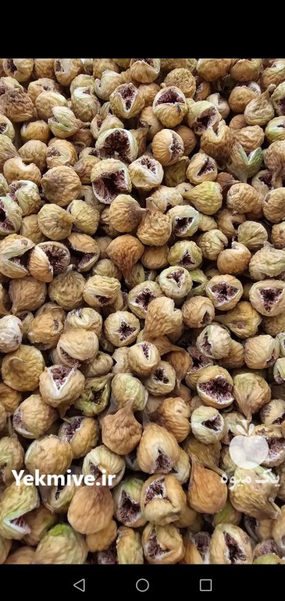 فروش انواع انجیر خشک ارگانیک بصورت عمده در شیراز در گروه خرید و فروش انجیر در یکمیوه -عکس4