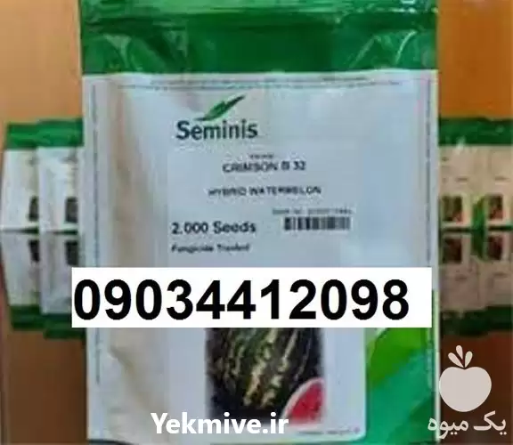 هندوانه b 32 پر فروش اصل در گروه خرید و فروش بذر هندوانه در یکمیوه -عکس1
