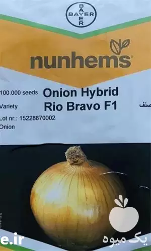 قیمت خرید قیمت بذر پیاز ریو در کرمان  در گروه خرید و فروش بذر پیاز در یکمیوه -عکس1