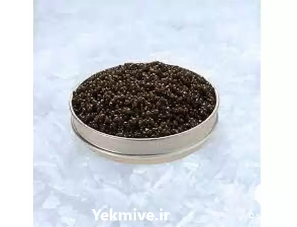 فروش خاویار ایرانی برداشت شده در رشت در گروه خرید و فروش انواع ماهی در یکمیوه -عکس1