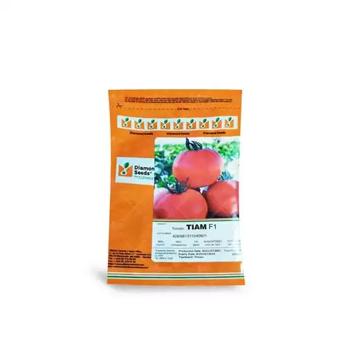 قیمت خرید بذر گوجه فرنگی تیام در بیرجند در گروه خرید و فروش بذر گوجه در یکمیوه -عکس1