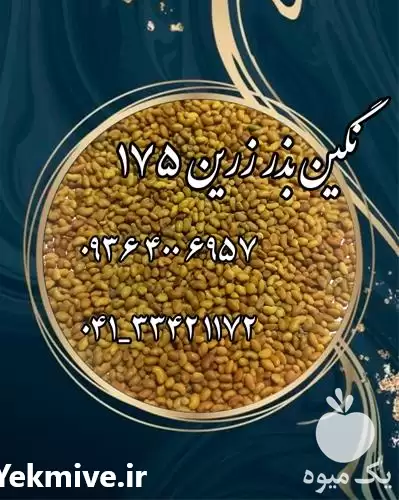 فروش قیمت بذر یونجه پاک شده در کرمانشاه در گروه خرید و فروش بذر یونجه در یکمیوه -عکس1