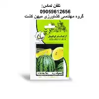 بذر هندوانه زرد آرکا در رشت در گروه خرید و فروش بذر هندوانه در یکمیوه
