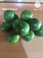 فروش ویژه نارنگی ژاپنی در خلیل شهر در گروه خرید و فروش نارنگی در یکمیوه