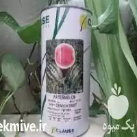 فروش خرید بذر هندوانه کلوز در اهواز در گروه خرید و فروش بذر هندوانه در یکمیوه