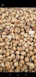 فروش انواع انجیر خشک ارگانیک بصورت عمده در شیراز در گروه خرید و فروش انجیر در یکمیوه