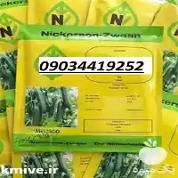 خیار امپراطور پر فروش اصل در ایلام در گروه خرید و فروش خیار در یکمیوه