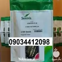 هندوانه b 32 پر فروش اصل در گروه خرید و فروش بذر هندوانه در یکمیوه