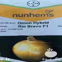 قیمت خرید قیمت بذر پیاز ریو در کرمان  در گروه خرید و فروش بذر پیاز در یکمیوه