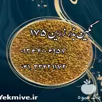 فروش قیمت بذر یونجه پاک شده در کرمانشاه در گروه خرید و فروش بذر یونجه در یکمیوه