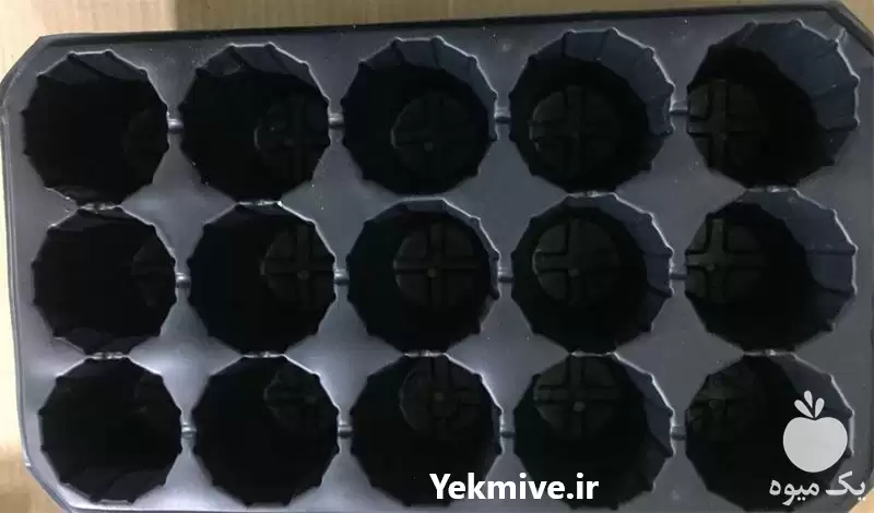 قیمت خرید سینی کشت نشاء ایرانی در تهران در گروه خرید و فروش نشا در یکمیوه -عکس1