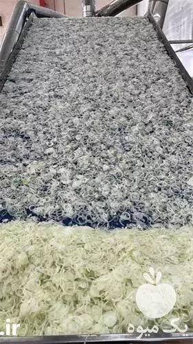 تولید پخش پیاز خشک اعلا صادراتی در اصفهان در گروه واردات و صادرات در یکمیوه -عکس1