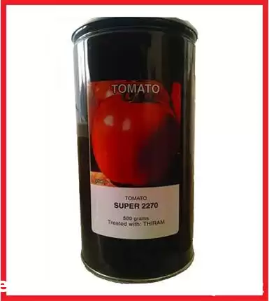 قیمت خرید بذر گوجه فرنگی سوپر در شیراز در گروه خرید و فروش بذر گوجه در یکمیوه -عکس1