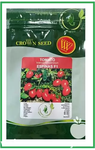 قیمت خرید بذر گوجه فرنگی اسپیناس در شیراز در گروه خرید و فروش بذر گوجه در یکمیوه -عکس1