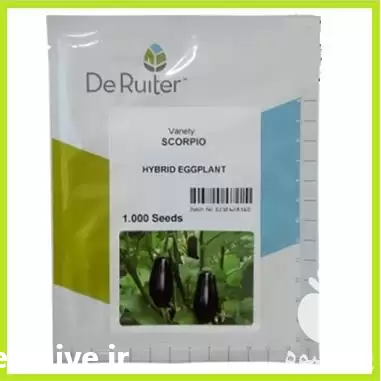 فروش بذر بادمجان تاروس در شیراز در گروه خرید و فروش بذر بادمجان در یکمیوه -عکس1