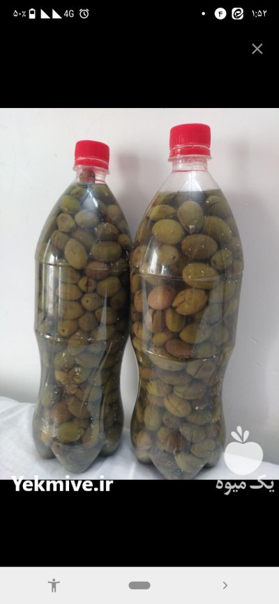 زیتون سبز شوری در علی آباد در گروه خرید و فروش زیتون در یکمیوه -عکس1