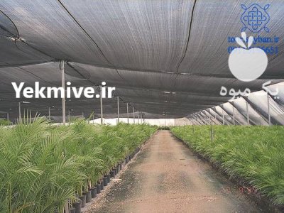 فروش توری سایبان شید گلخانه در اهواز در گروه خرید و فروش توری گلخانه در یکمیوه -عکس1