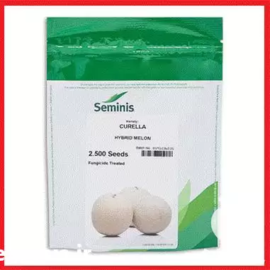 قیمت خرید بذر ملون هیبرید کور در یزد در گروه خرید و فروش بذر ملون در یکمیوه -عکس1