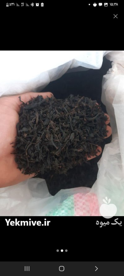 چای ایرانی قلم بدون چوب کد در گروه خرید و فروش چای در یکمیوه -عکس2