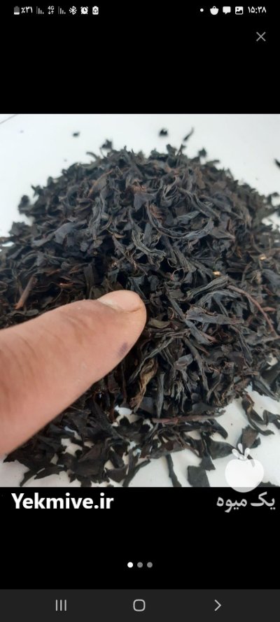 چای ایرانی قلم بدون چوب کد در گروه خرید و فروش چای در یکمیوه -عکس3