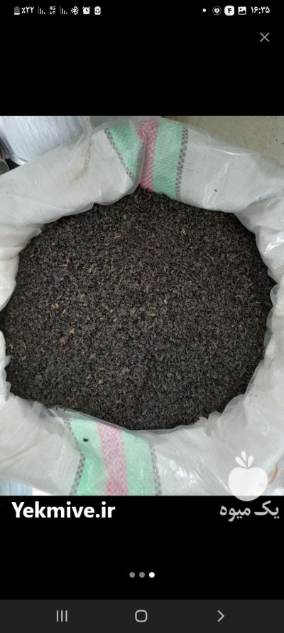 چای شکسته ممتاز کد 33 در رشت در گروه خرید و فروش چای در یکمیوه -عکس3